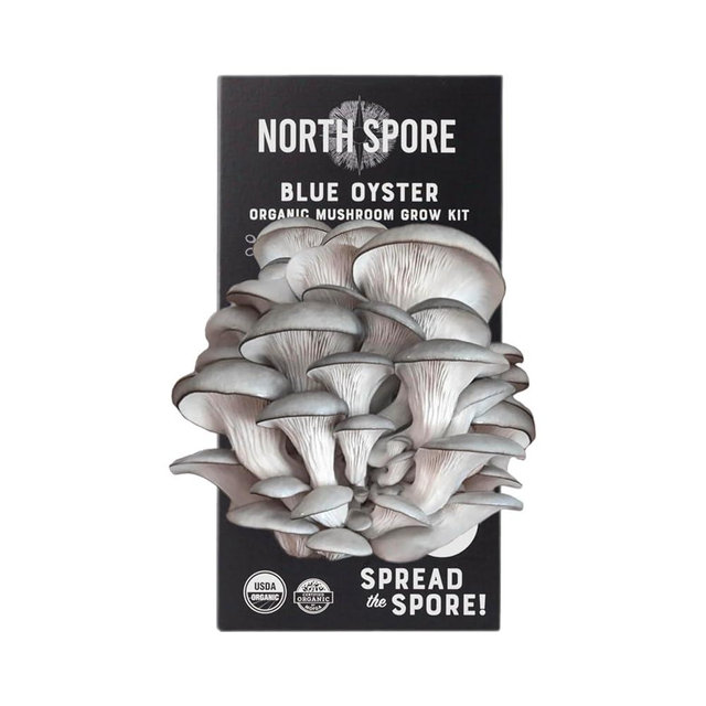 North Spore Organic Blue Oyster Mushroom Spray & Grow Kit (4 lb) | Beginner Friendly & Easy to Use | USDA Certified Organic, Non-GMO | Handmade in Maine, USA
