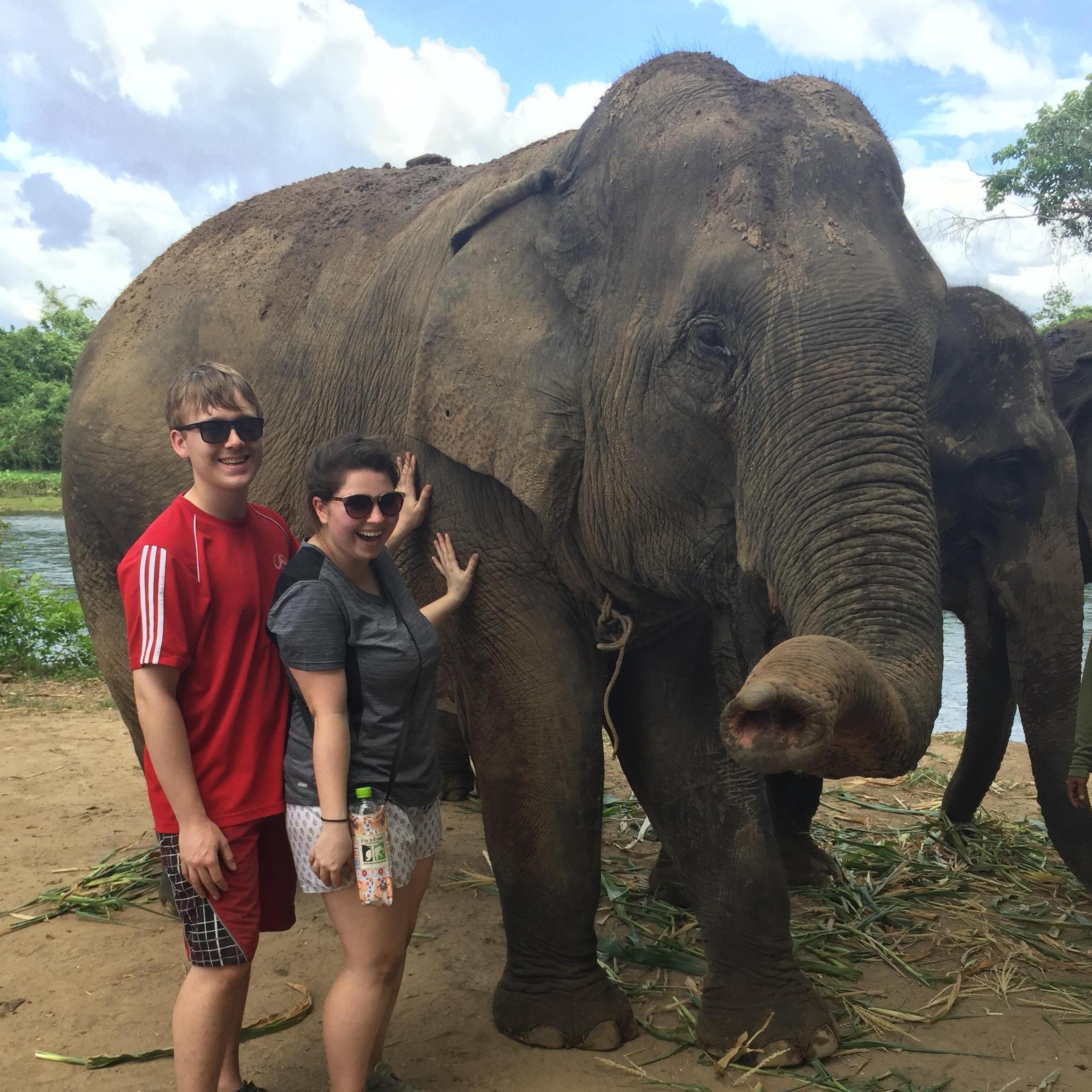 Elephant sanctuary in Thailand 2017