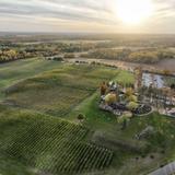 Rustic Roots Winery