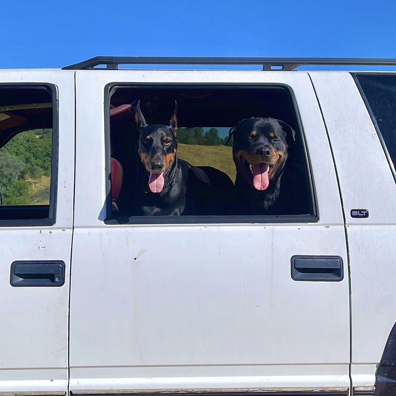 Alpha & Kratos- Their First Hangout