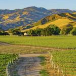 Santa Ynez Valley