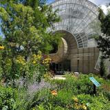 Myriad Botanical Gardens