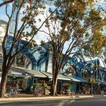 Coconut Grove