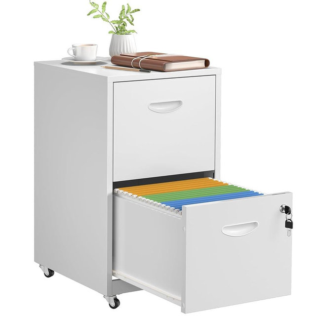 SteeLoong 2 Drawer File Cabinet with Lock，White Rolling File Cabinet for Home Office, Metal Small Mobile Filing Cabinets on Wheels for Hanging Letter