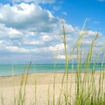 Sea Turtle Beach (Jensen Beach)