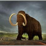 Royal BC Museum