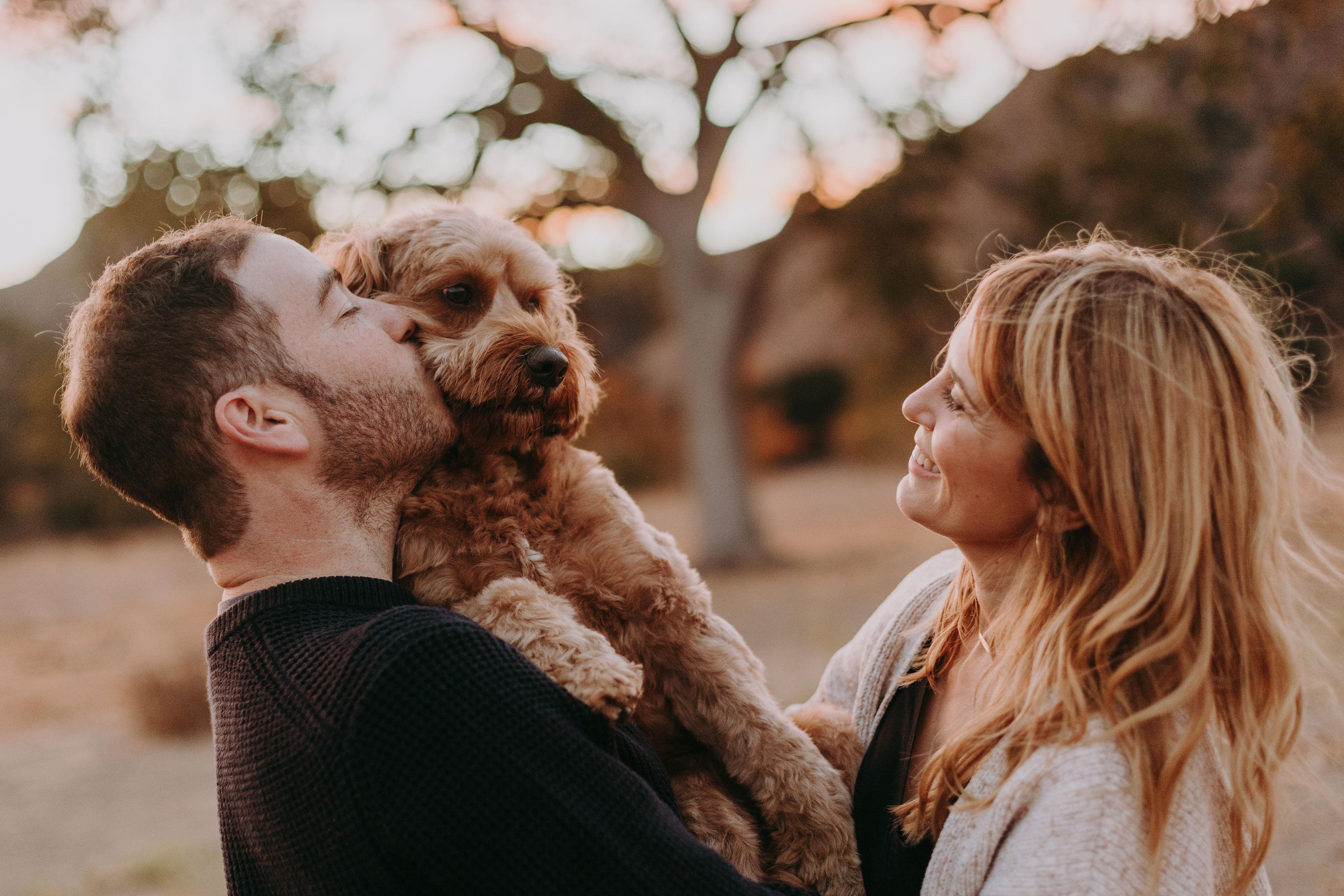The Wedding Website of Krystal Newmark and Dan Bernstein