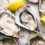 Midtown Oyster Bar