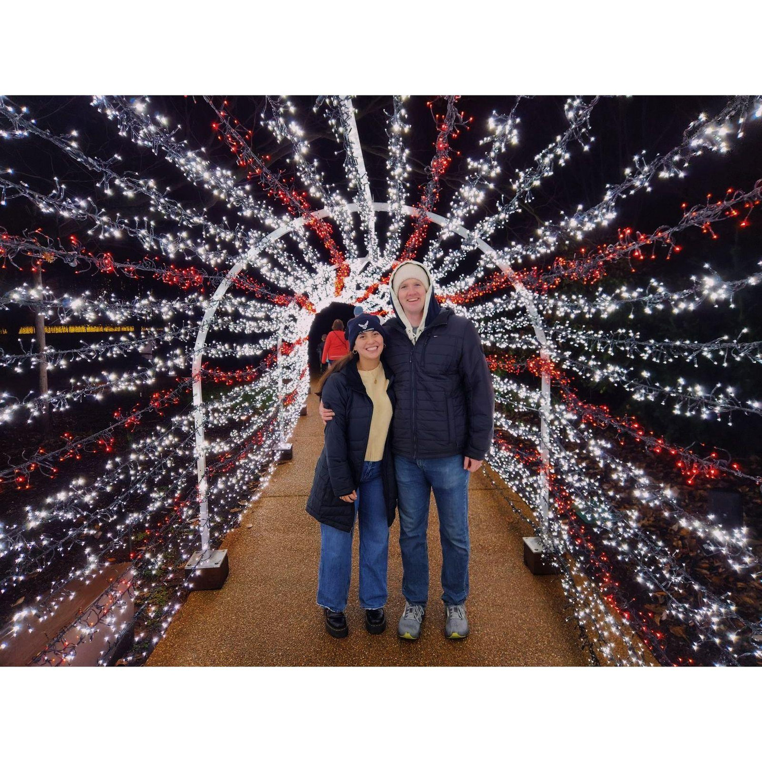 Christmas in St. Louis