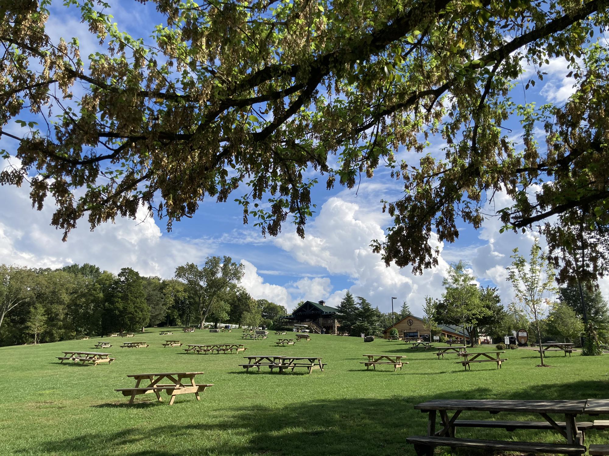 Arrington Vineyard - Day of the proposal