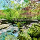 Compton Gardens & Arboretum