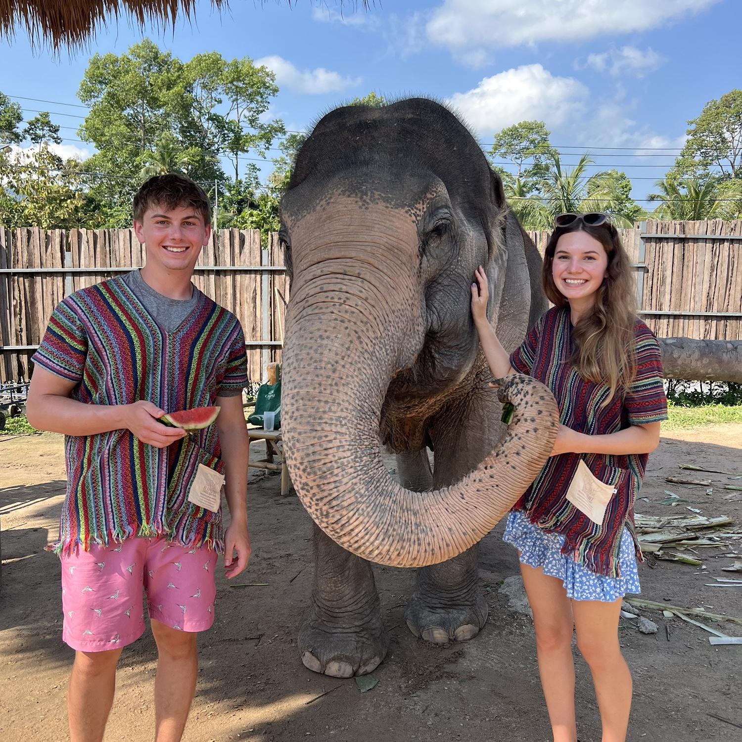 Elephant sanctuary in Thailand