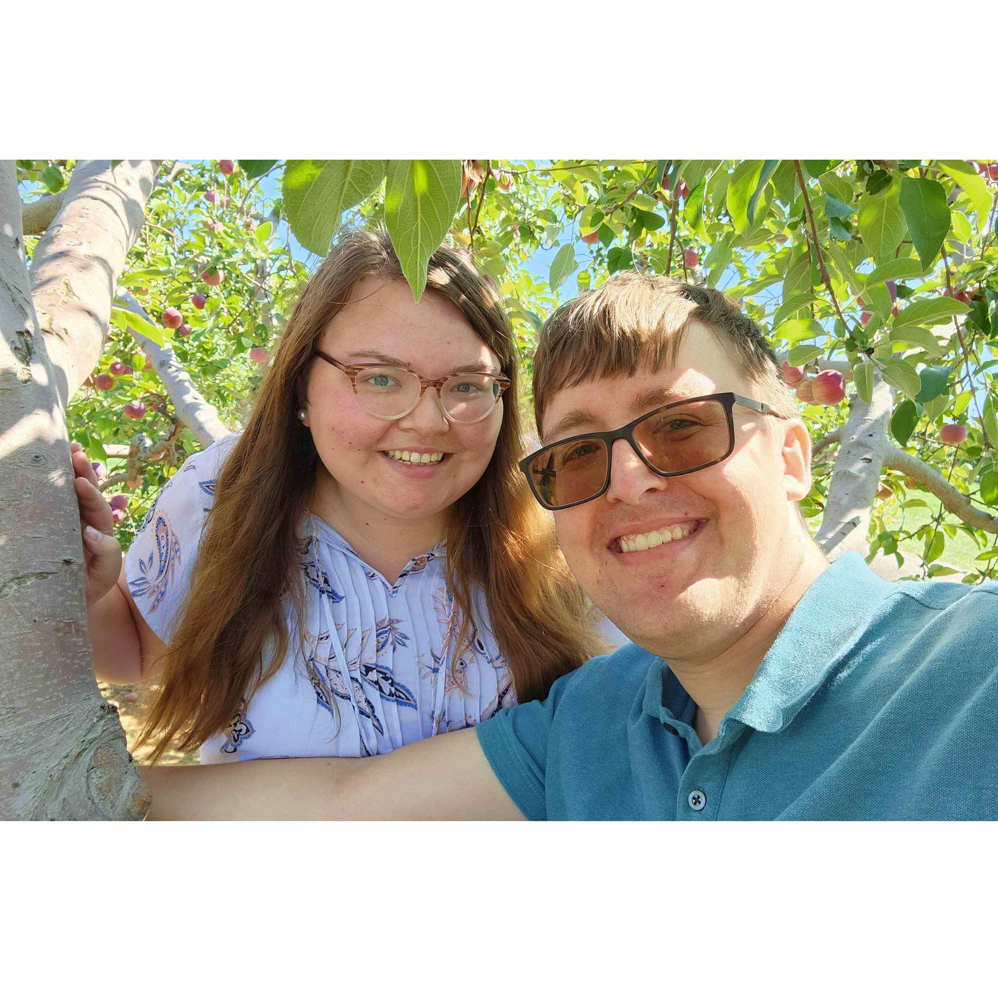 At the orchard, 2022