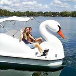 Boating & Biking in City Park
