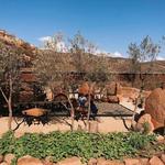 Fauna Restaurante en Bruma