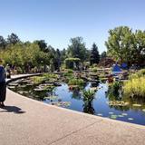 Denver Botanic Gardens