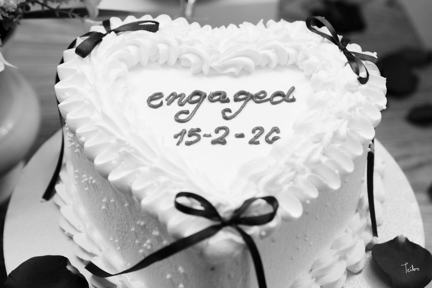 The Wedding Website of Cynthia Saoue and Abel Sogoba