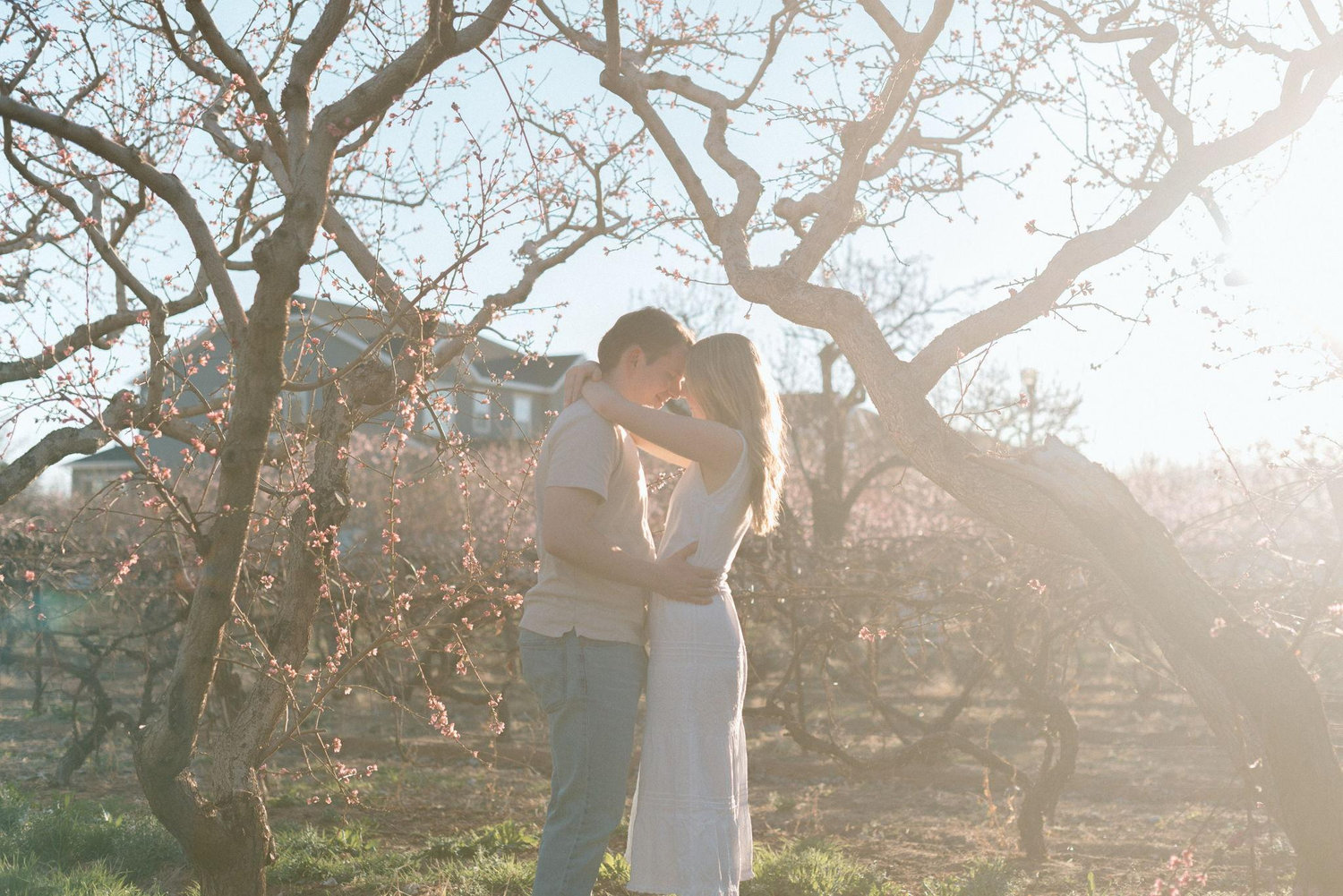 The Wedding Website of Hannah Jensen and Joshua McConaghie