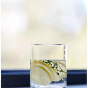 Morgan Double Old Fashioned Glasses, Set of 4