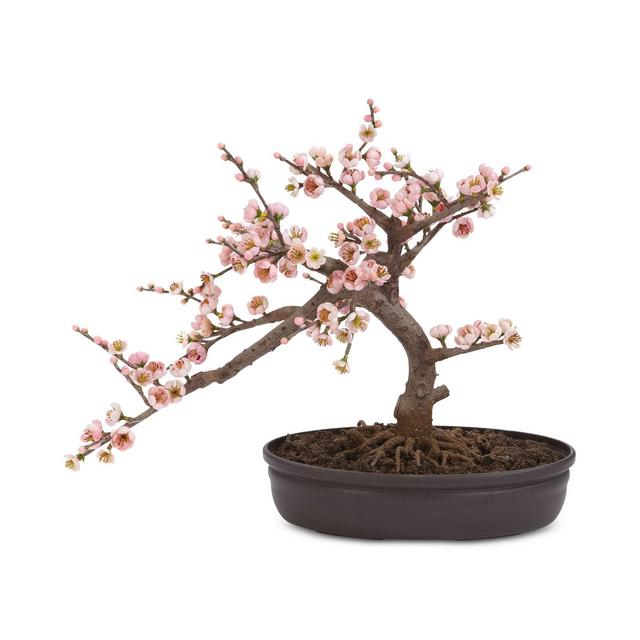 Nearly Natural Artificial Cherry Blossom Bonsai Tree