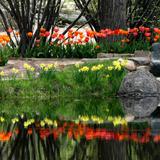 Yampa River Botanic Park