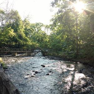 Bronx River Alliance