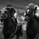 Saratoga Racetrack
