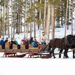 Sleigh ride at 320