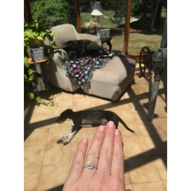 On a warm July evening, Tim asked Leah to spend the rest of their lives together while laying in the hammock and playing with their pups.