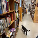 Book Buyers