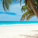 Coquina Beach