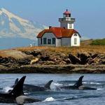 Lime Kiln Point State Park