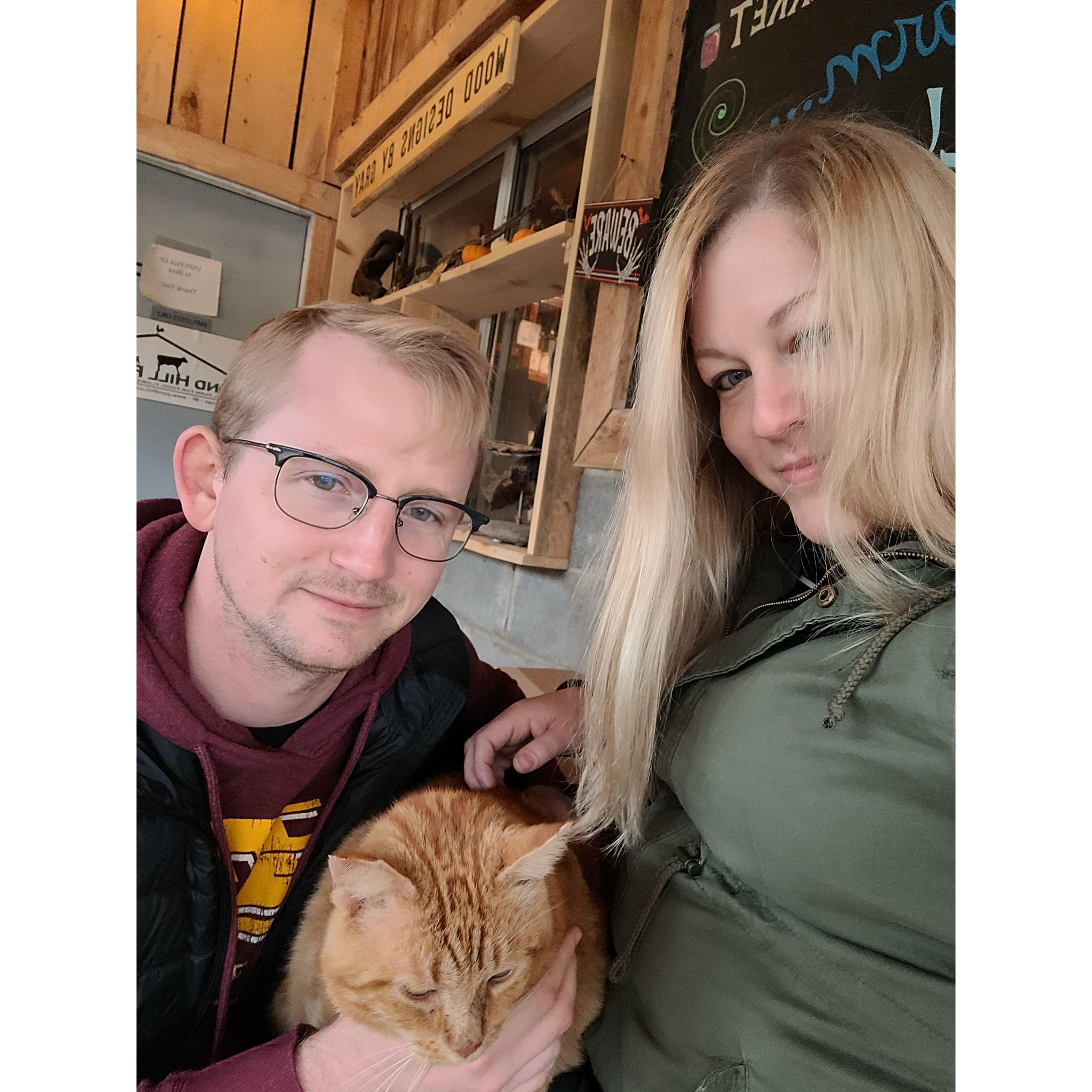 Pond hill farm in Harbor Springs with pumpkin the cat Fall 2021