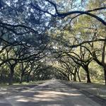 Wormsloe Historic Site