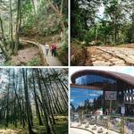 Arví Park Medellin Colombia