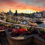 Inner Harbour