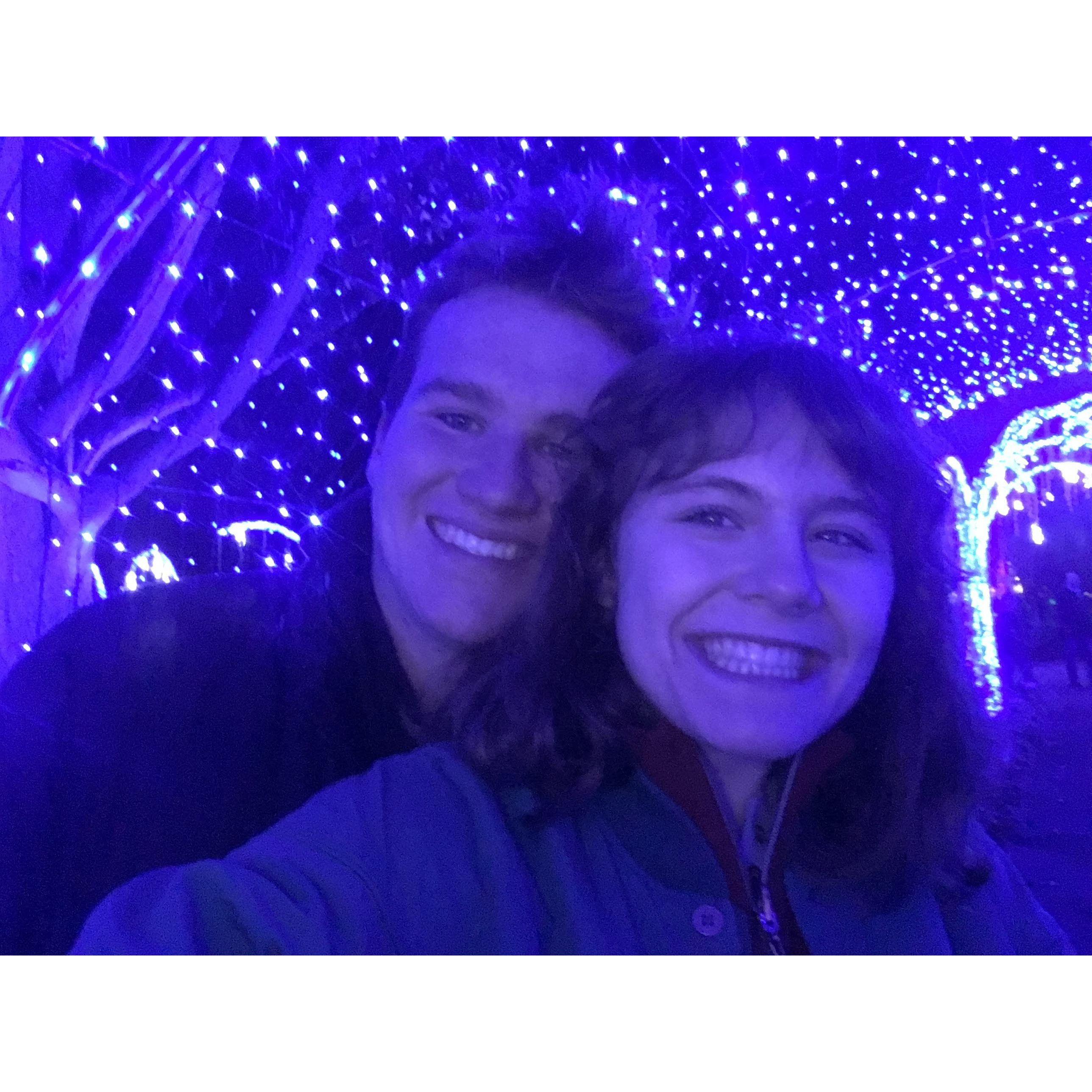 2nd time at Christmas at the zoo!