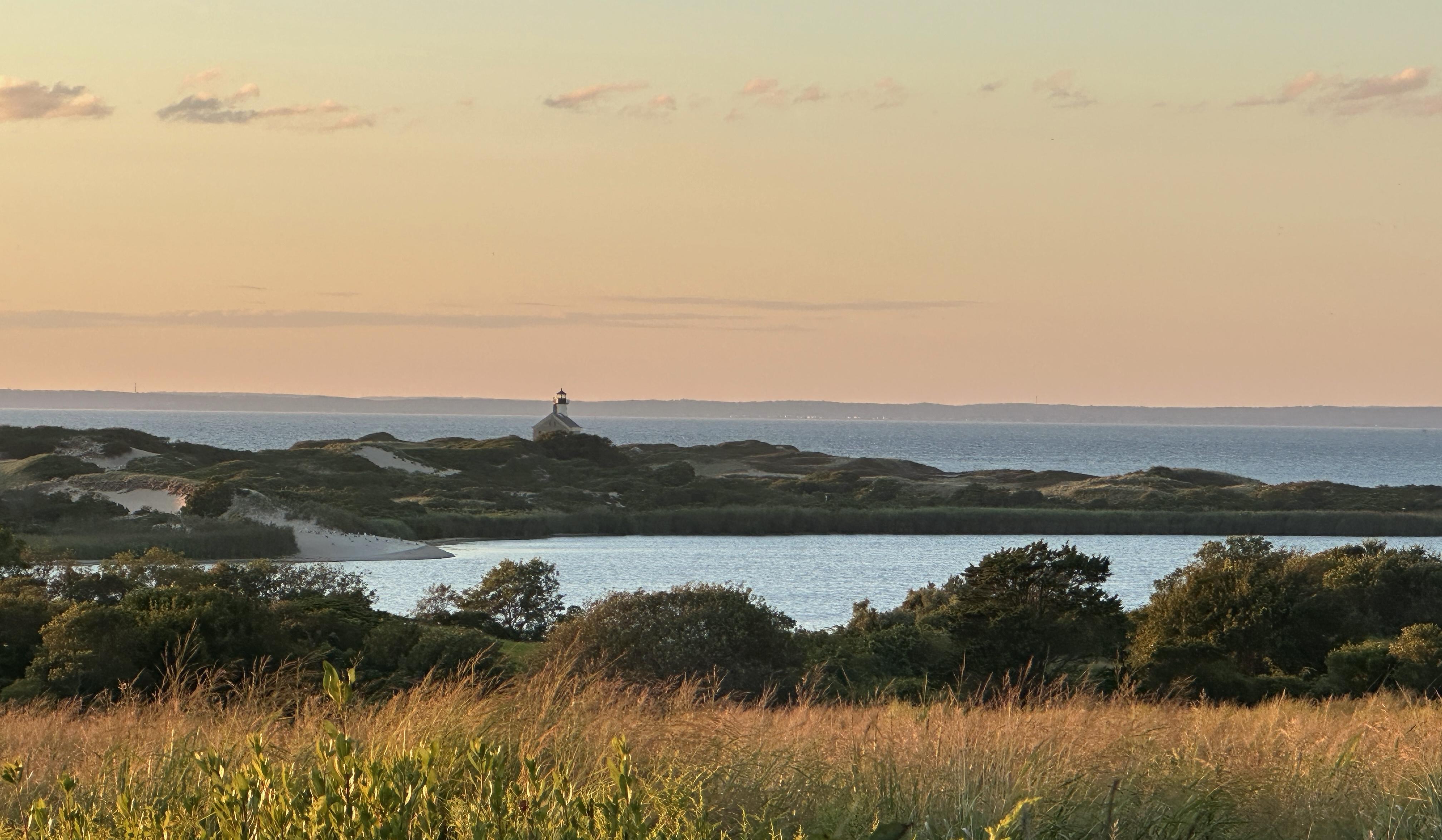 The Wedding Website of Victoria Ferrigno and Noah Gasner