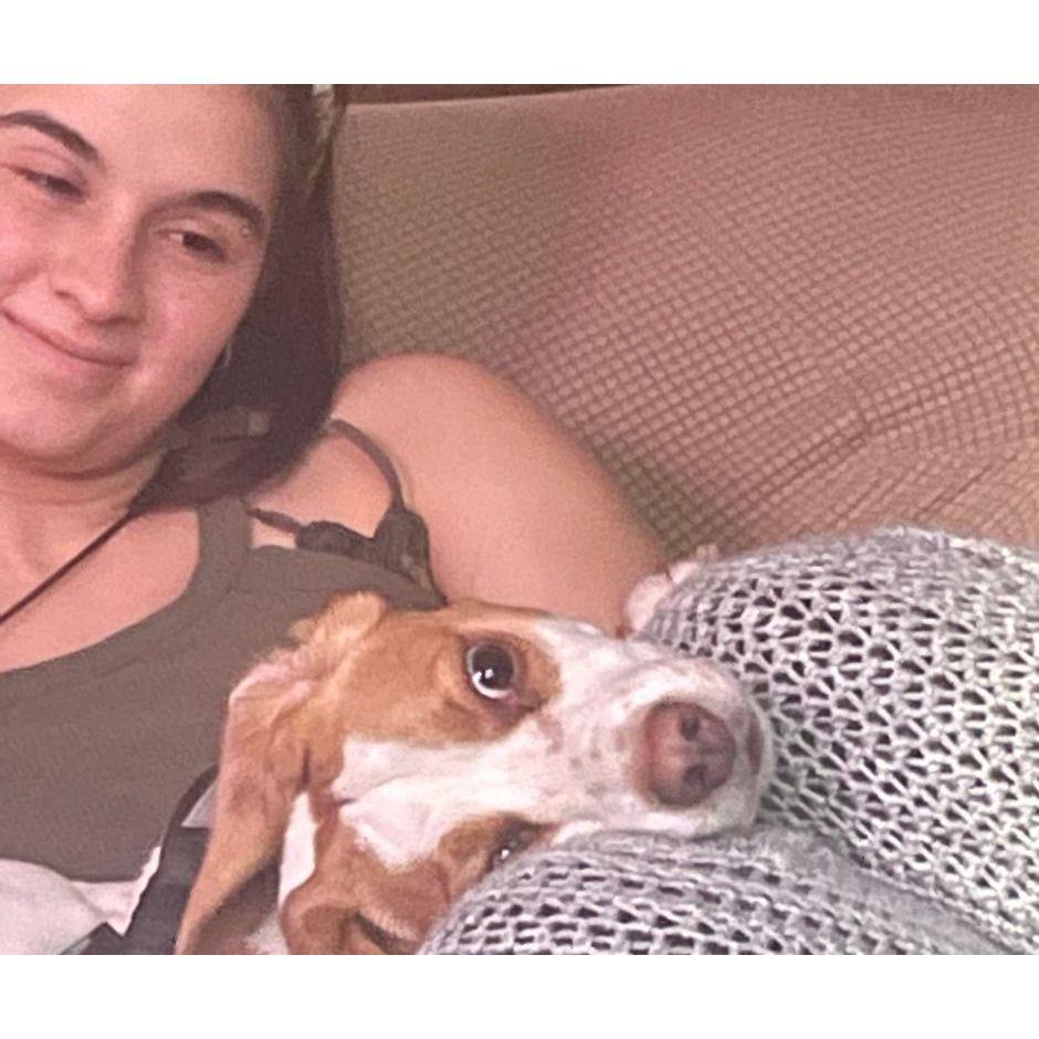 Norma and Bagel hanging out