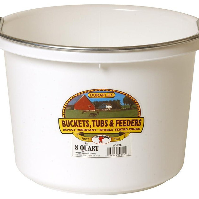 Little Giant P8WHITE Dura Flex Plastic Bucket for Livestock, 8-Quart, White