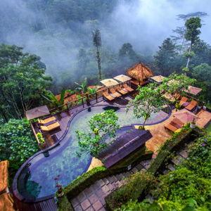 Honeymoon jungle villa