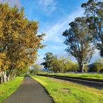 Napa Valley Vine Trail