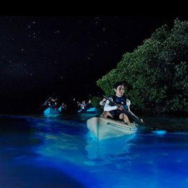Bioluminescent Bay Kayaking
