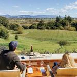 Fog Crest Vineyard