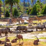 San Diego Zoo Safari Park