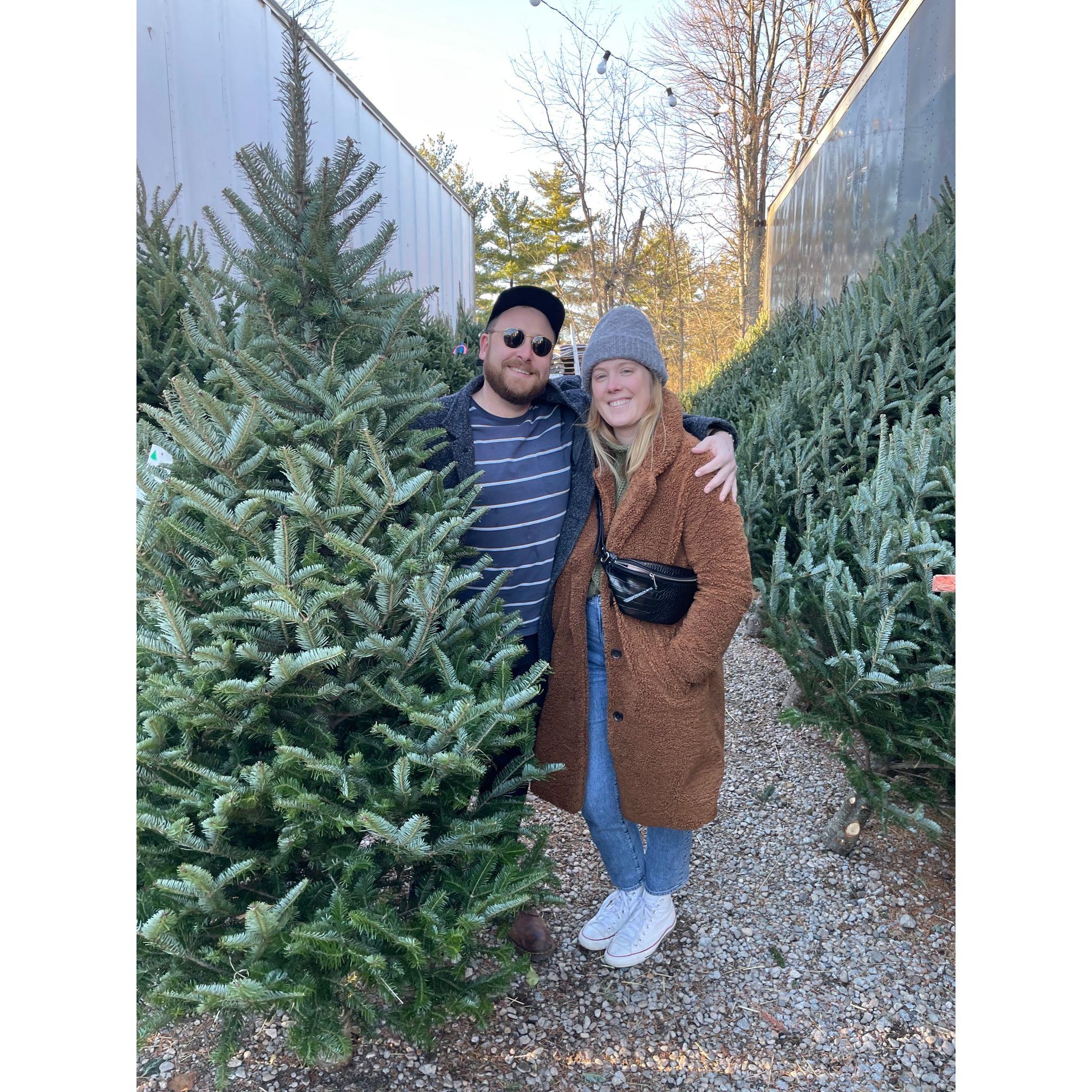 Christmas Tree shopping