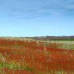 Explore a Nature Preserve