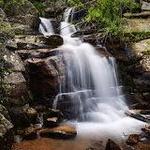 Maxwell Falls Lower Trail