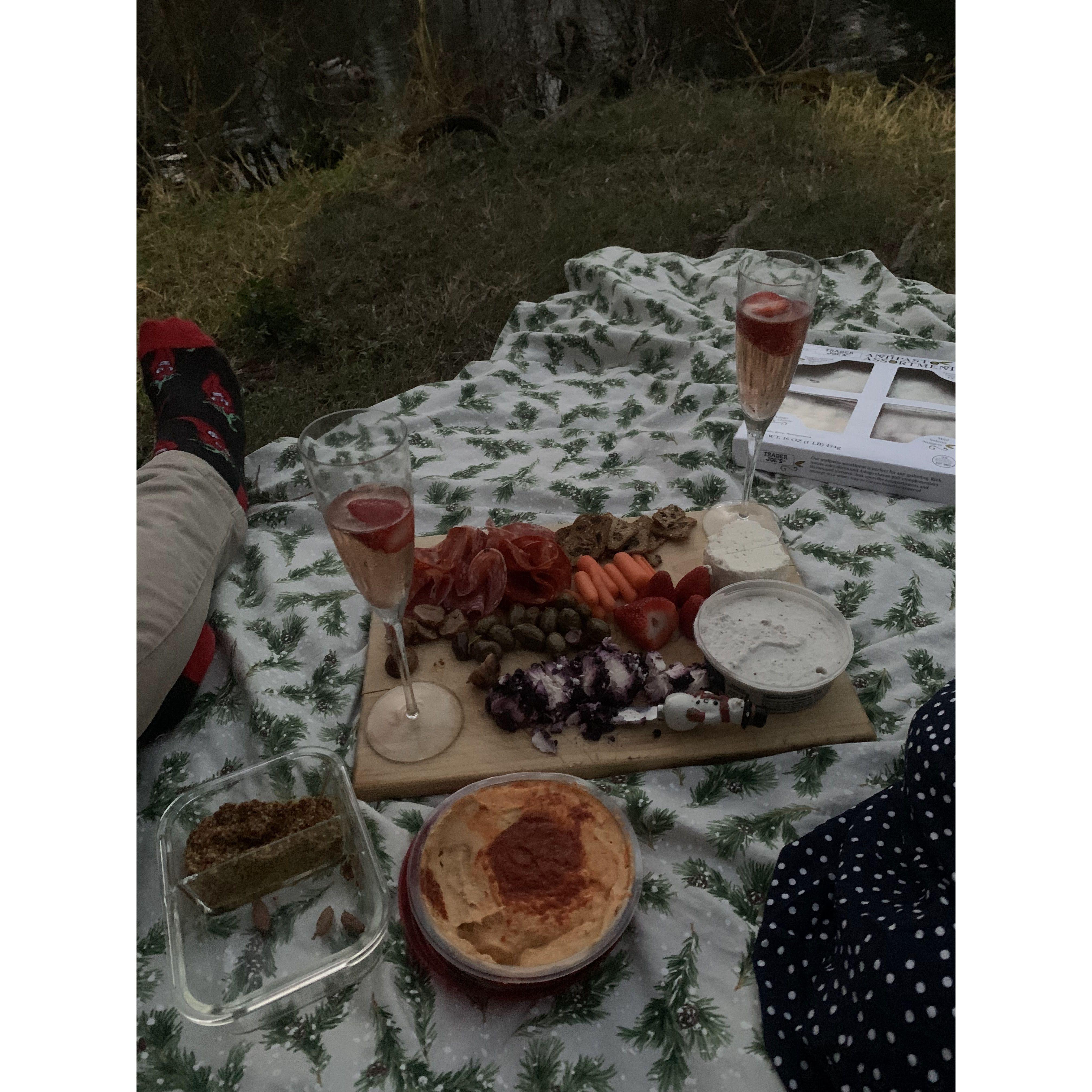 Twilight December Picnic Proposal <3