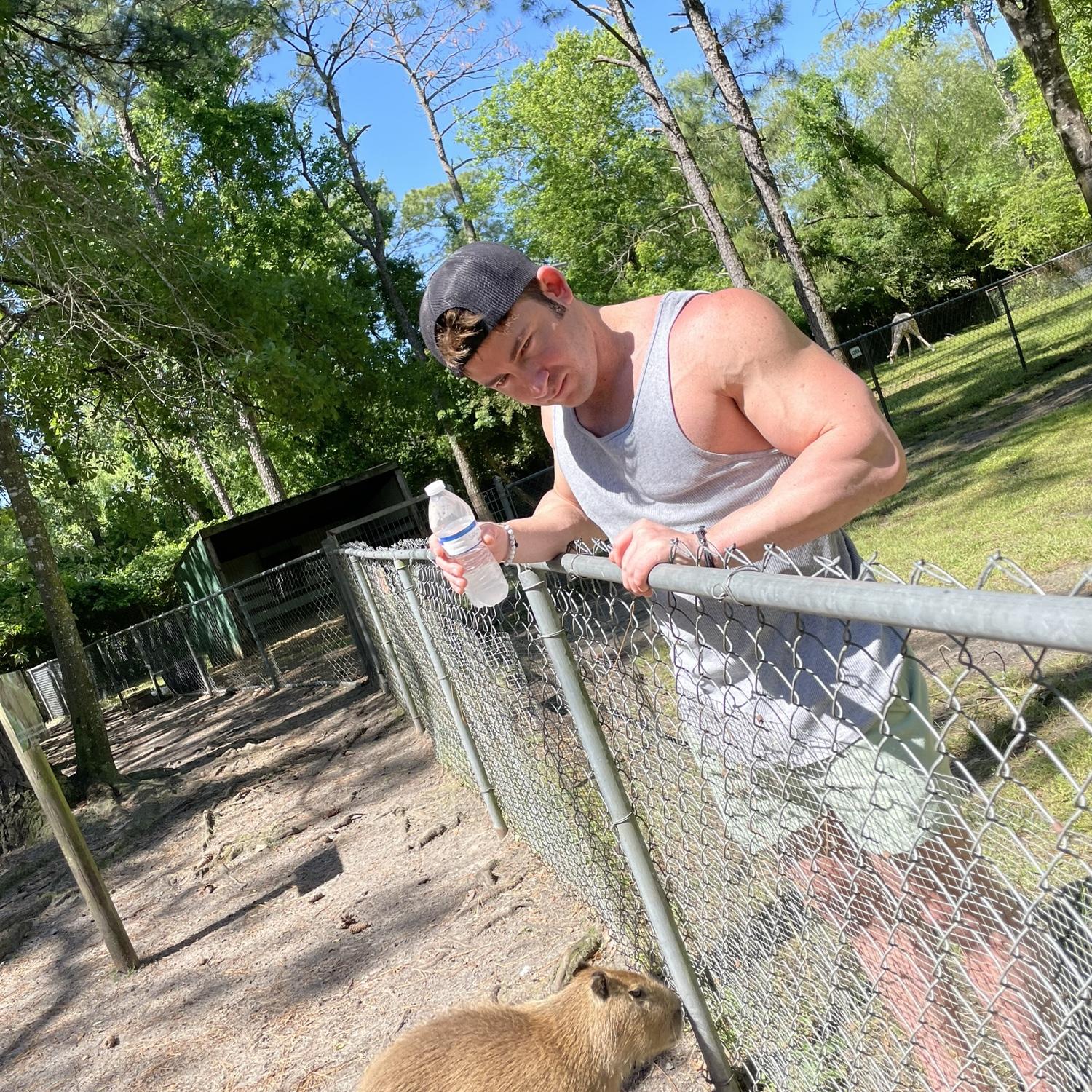 NC zoo